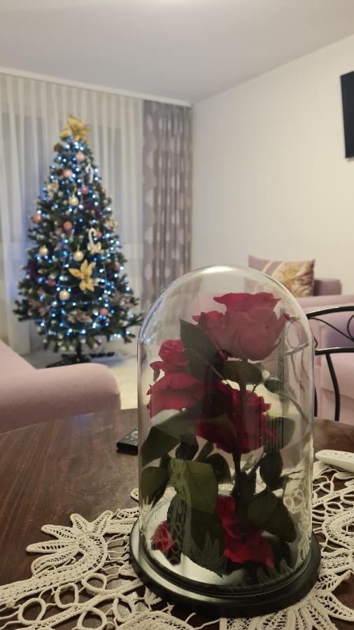 Apartament Violeta Gura Humorului Bagian luar foto